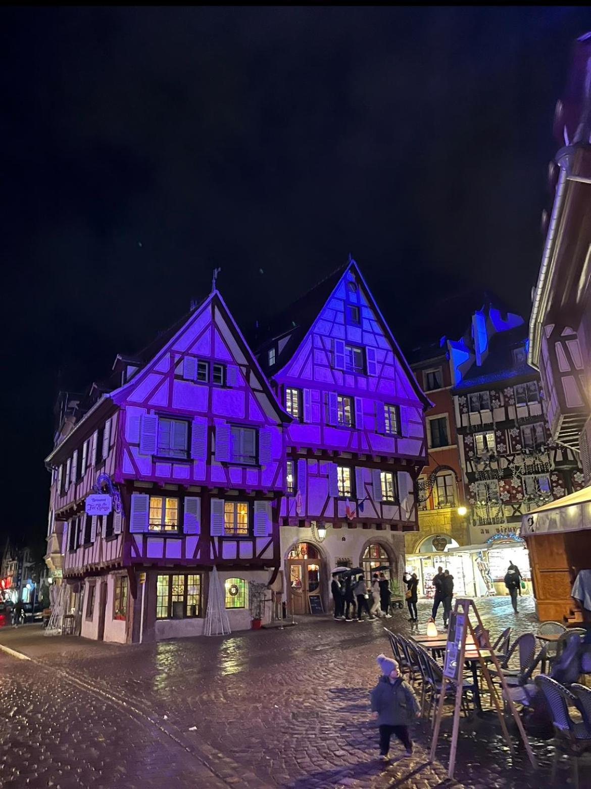 Le Venise, Parking Prive, Neuf & Spacieux Colmar Zewnętrze zdjęcie