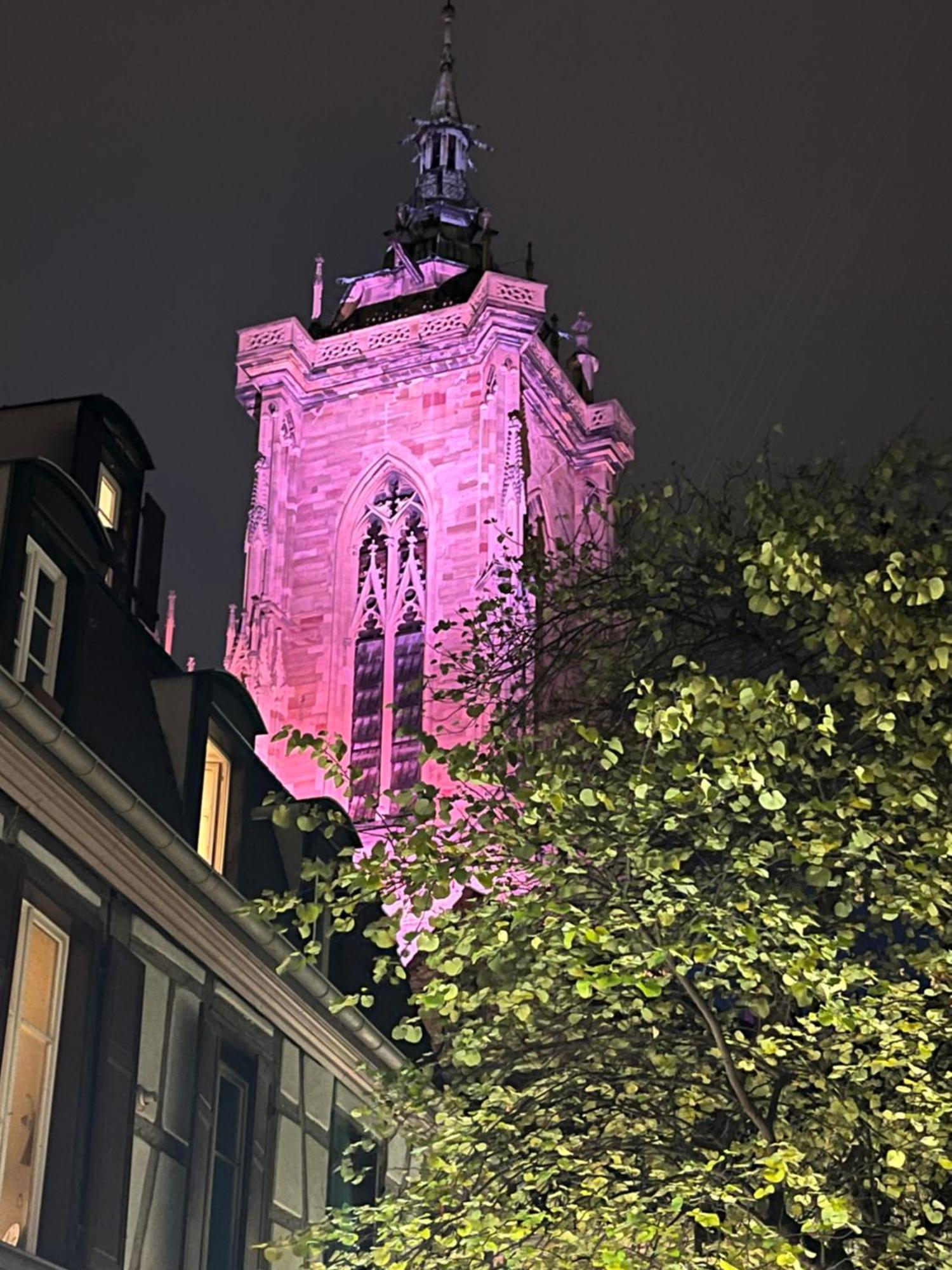 Le Venise, Parking Prive, Neuf & Spacieux Colmar Zewnętrze zdjęcie